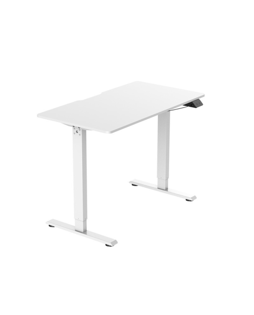 Ban-nang-ha-WARRIOR-–-Paladin-Series-–-WGT604-Trang.3-510x631