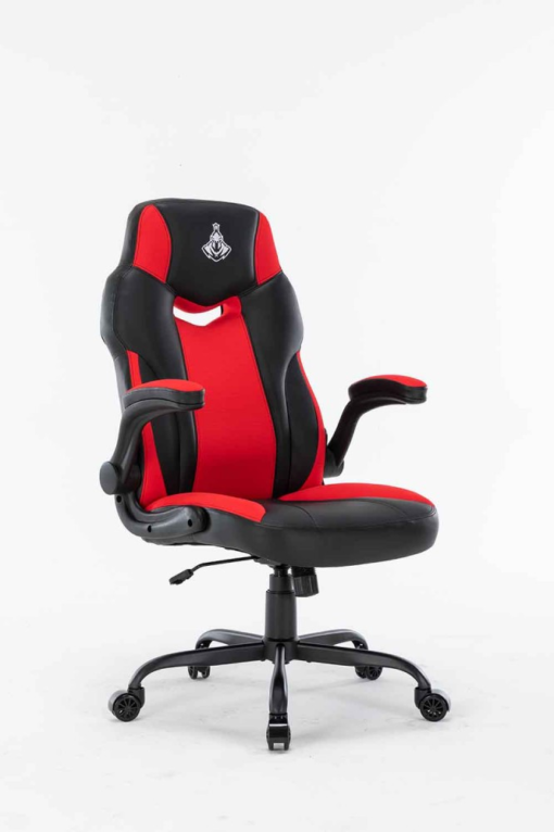 Ghe-choi-game-Warrior-–-Raider-Series-–-WGC203-Black-Red.3-510x766