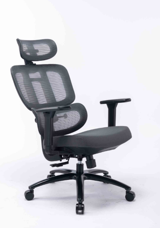 Ghe-cong-thai-hoc-ergonomic-WARRIOR-–-Hero-series-–-WEC509-Black-Gray.6-510x728